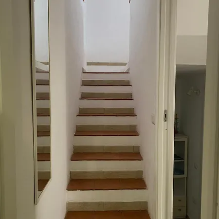 Carlotta's House וילסימיוס